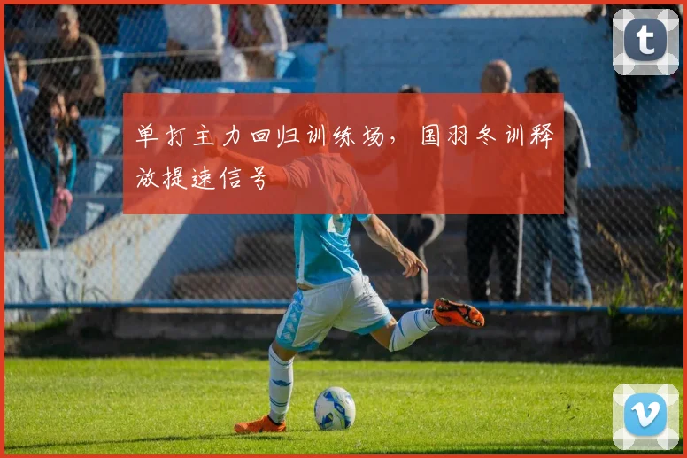 单打主力回归训练场，国羽冬训释放提速信号