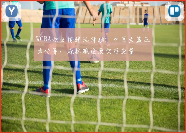 WCBA积分榜暗流涌动：中国女篮压力传导，森林狼逆袭仍存变量