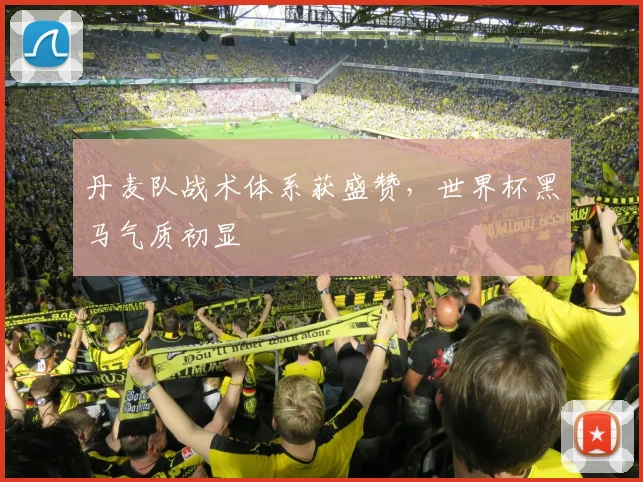 丹麦队战术体系获盛赞，世界杯黑马气质初显
