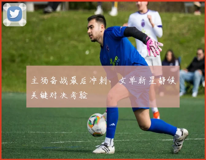 主场备战最后冲刺，女单新星静候关键对决考验